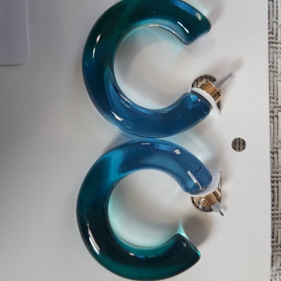 Banana Republic Blue Resin Hoop Earrings - Picture 2 of 3
